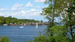 019 Muritzsee