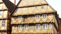 017 Celle Zunft