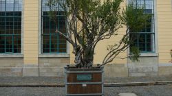 127 Hannover Herrenhausen