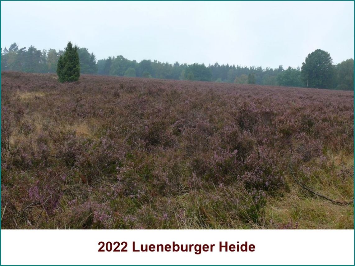 2022 Lueneburg